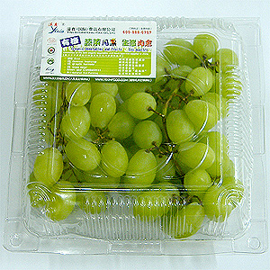 有机青提